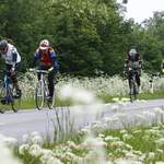 leithaberg-radmarathon-2015_2015-05-24_12-02-15.jpg